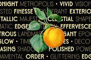 Metrovan - Art Deco Style, a Sans Serif Font by Novitype (Thumbnail 9 of 11)