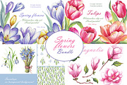 Spring flowers bundle PNG + patterns, an Illustration by Alena Kurian (Thumbnail 1 of 10)
