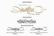 Delion | Signature Font, a Script Font by Lemonthe (Thumbnail 2 of 10)