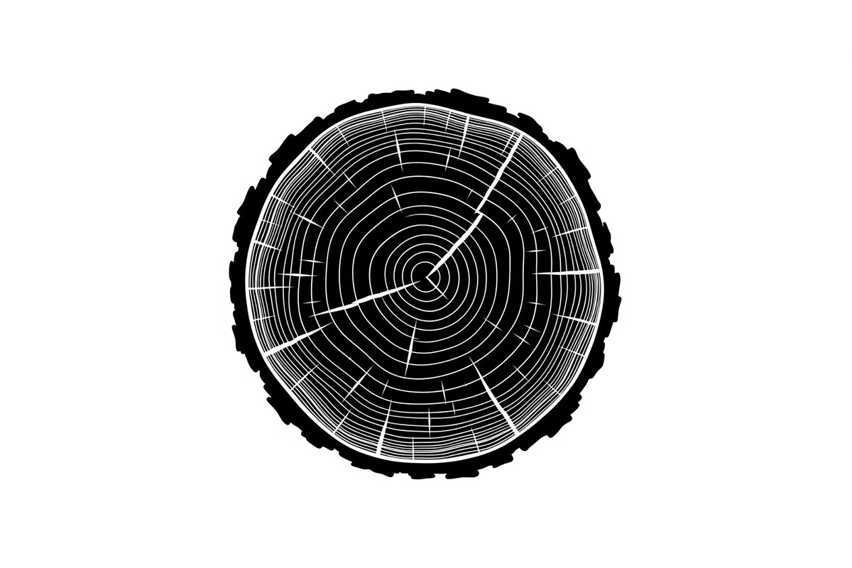 Tree Ring Wood Slice SVG Bundle, an Illustration by Designs_River