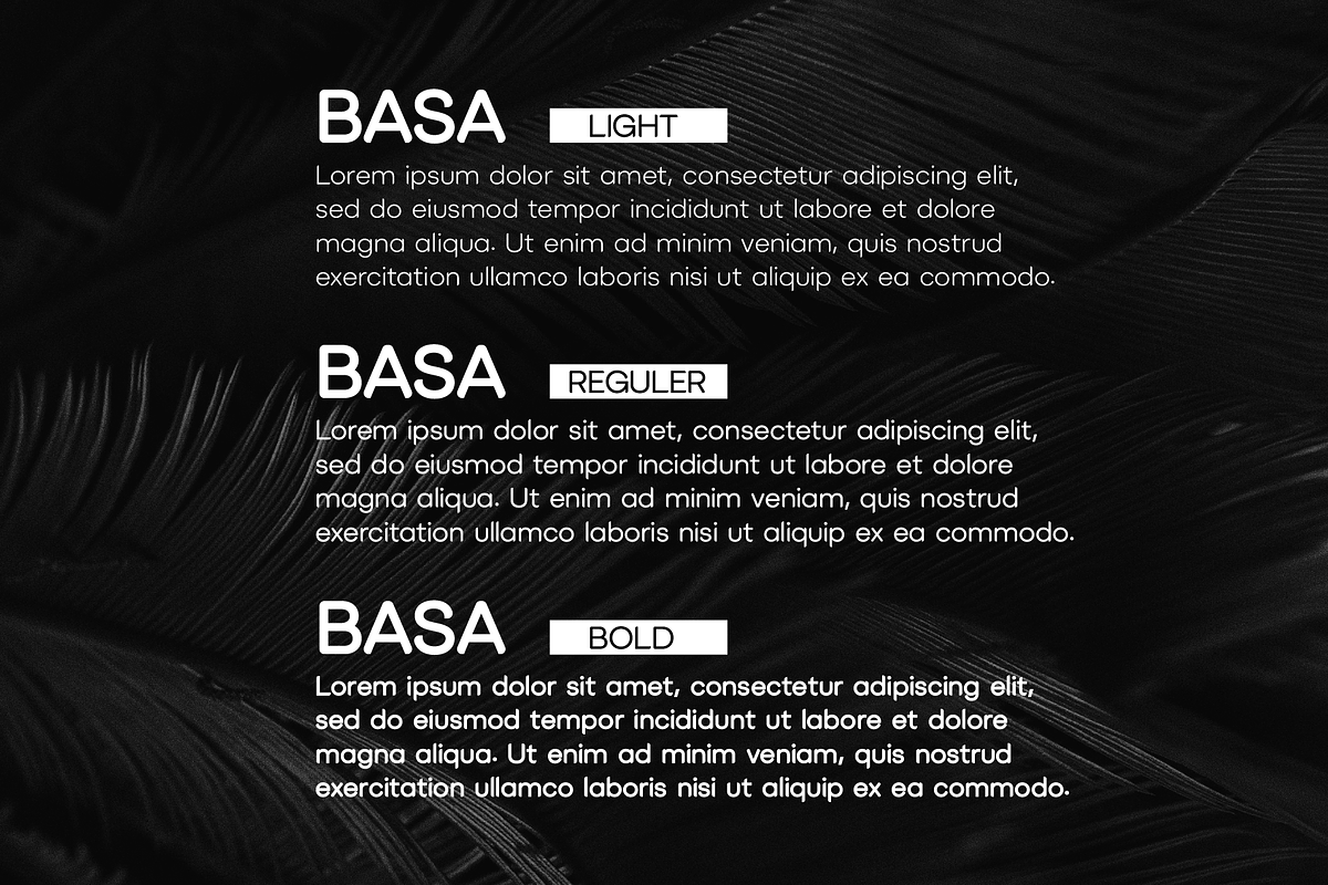 Basa Sans Serif Font, a Sans Serif Font by Glowin_studio (Photo 2 of 6)