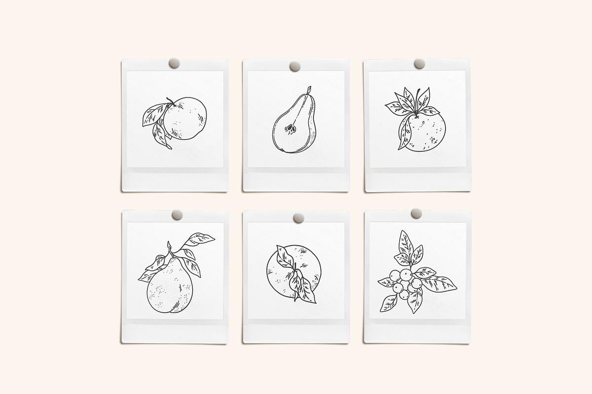 Fruit Garden Vector Illustrations, a Decorative Illustration by Emma Webb Studio (Photo 6 of 7)