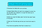 Vintage Procreate Monoline Brush, a Brush Add-On by Blue Strawberry Studio (Thumbnail 5 of 6)
