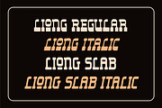 Liong - 4 Fonts Styles, a Slab Serif Font by Dikas Studio (Thumbnail 4 of 12)
