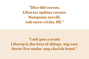 Killarney | Vintage Display, a Serif Font by Twicolabs Fontdation (Thumbnail 9 of 14)