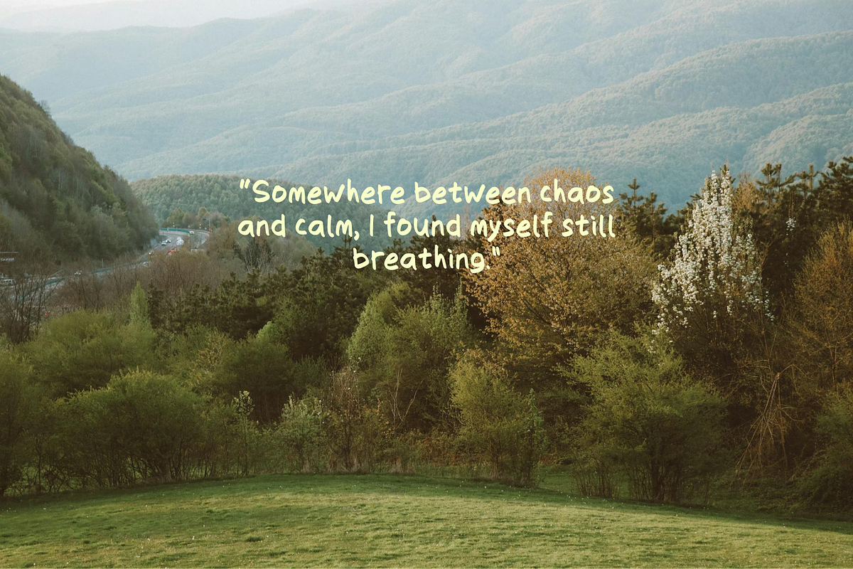 Reals - Handwritten Font, a Handwritten Font by BeadyLab (Photo 5 of 7)