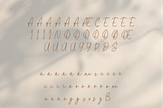 Guly Script Font, a Script Font by Creative Foundry (Thumbnail 8 of 8)