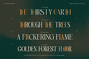 Elegant Condensed Volume 4, a Serif Font by Taboja Studio (Thumbnail 14 of 22)