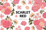 SCARLET RED - Flower Collection, an Object Graphic by Artflorara (Thumbnail 1 of 12)
