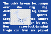 Shiftan Bold Modern Display Sans, a Serif Font by timelesstype.co (Thumbnail 8 of 20)