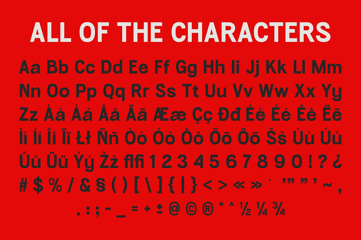 CS Legacy – Bold Font, a Sans Serif Font by Craft Supply Co. (Photo 8 of 8)