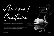 Jelittebyte - Signature Font, a Handwritten Font by Vampstudio (Thumbnail 4 of 13)