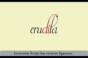 Invitation Script, a Script Font by Intellecta Design (Thumbnail 3 of 5)