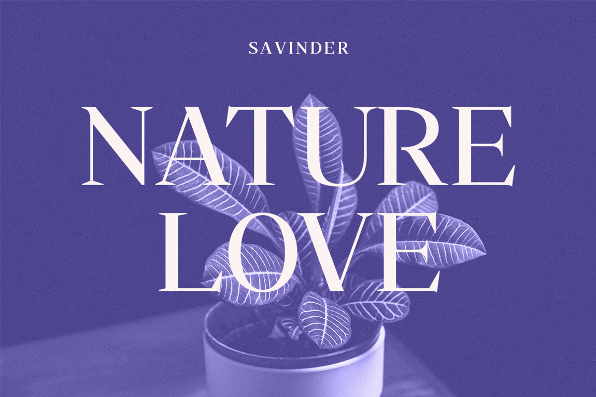 Savinder, a Serif Font by Dora Typefoundry (Photo 2 of 13)