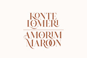 Drose - Modern luxury Serif Font, a Serif Font by Typebae (Thumbnail 6 of 10)