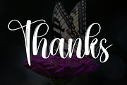 Butterflyies | Script Font, a Handwritten Font by Scratchones (Thumbnail 8 of 8)
