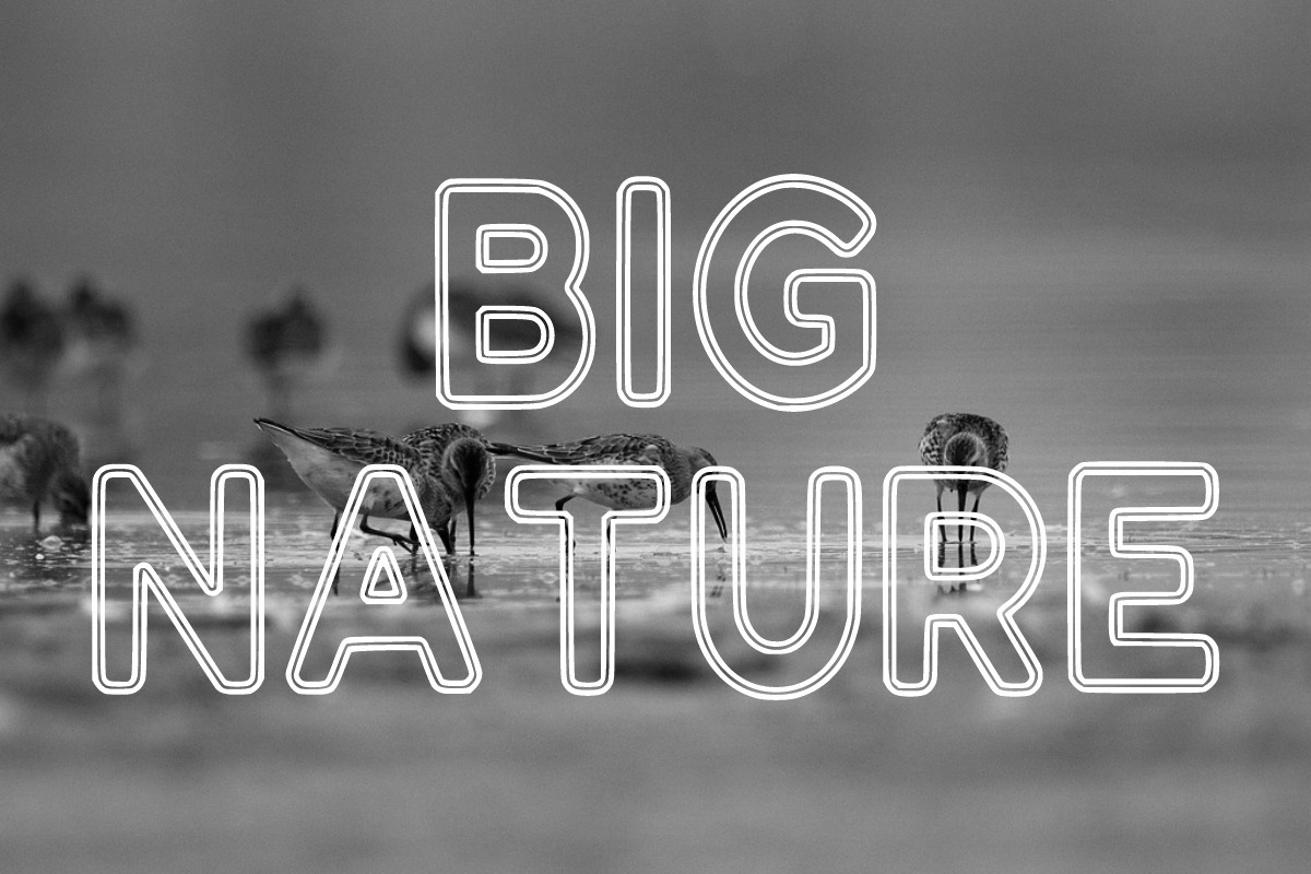 Lucky Outline, a Sans Serif Font by Fourteen Letter (Photo 3 of 6)