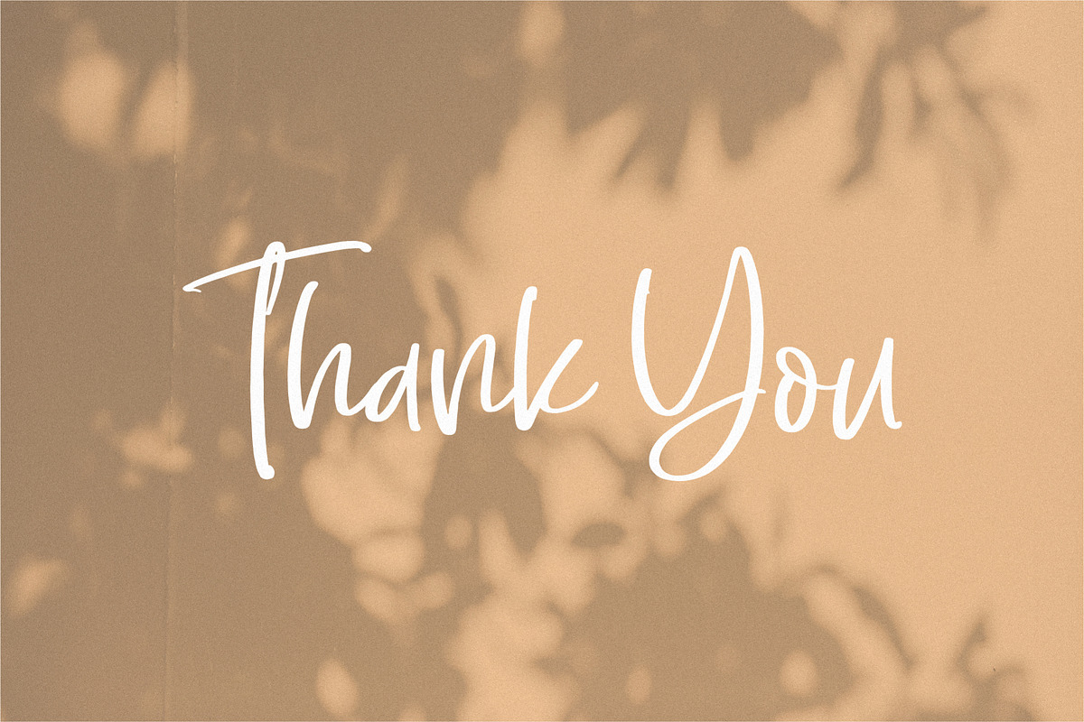 Sellaheby, a Script Font by Integritype Studio (Photo 15 of 15)