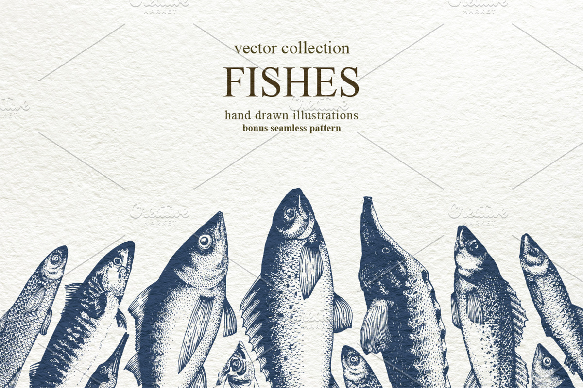 Fish Vector Collection, an Animal Illustration by Lubov Illustrations Shop (Photo 1 of 6)