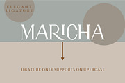 GRATTE Ligature Serif Font, a Serif Font by Humaira_std (Thumbnail 8 of 10)