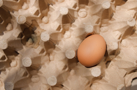 Fresh organic panel eggs on sackclot, a Food & Drink Photo by bastera