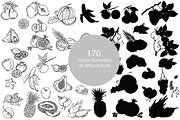 Vector illustration of fruits, an Illustration by risovanya (Thumbnail 2 of 5)