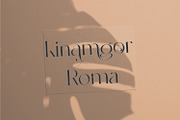 Valentiamo Sans| Stunning Sans Serif, a Sans Serif Font by MchCrafter (Thumbnail 11 of 15)