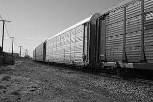 Downtown Train