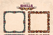 Shells, an Animal Illustration by Ink Stories (Thumbnail 12 of 21)