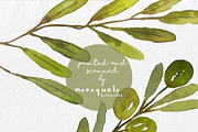 Watercolor Olives Wreaths handmade, an Illustration by MaraquelaStudio (Thumbnail 6 of 6)