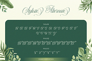 Herlyna, a Script Font by Burntilldead (Thumbnail 7 of 12)