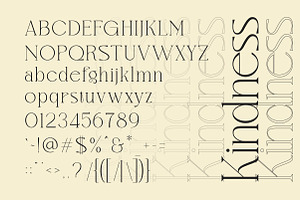 Mvoky Modern & Elegant Serif Family