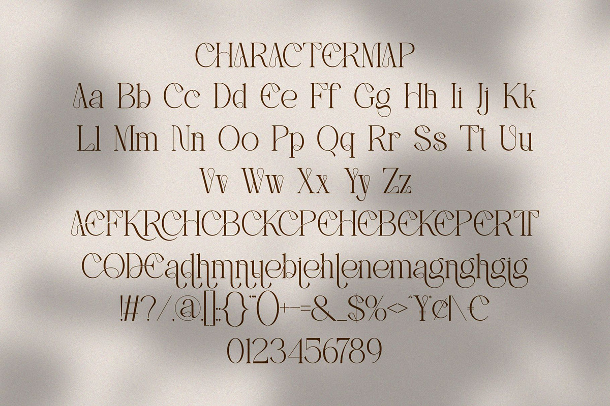 Reichi || Modern Classy Serif Font, a Serif Font by Ermedia Studio (Photo 10 of 10)