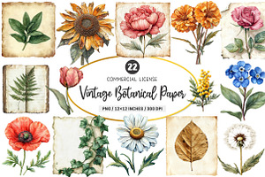 Vintage Botanical Paper Clipart PNG, an Illustration by SinaCreation