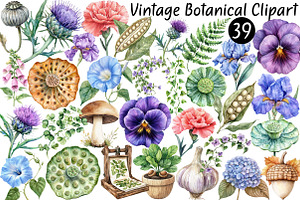 Watercolor Vintage Botanical Clipart