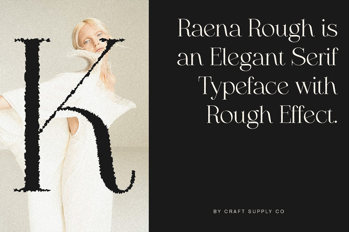 Raena Rough, a Serif Font by Craft Supply Co. (Photo 3 of 8)