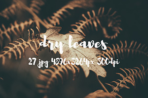 Dry leaves