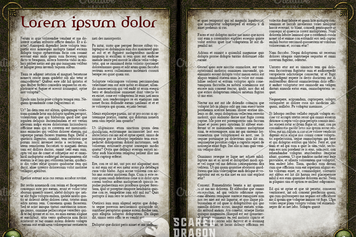Fantasy Book Interior Backgrounds #2, a Background Graphic by Scared Dragon Studio (Photo 2 of 2)