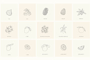 Botanical Hand Drawn Designs, Logos, a Seasonal Illustration by Designwork (Thumbnail 22 of 22)