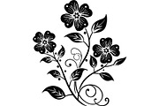 Elegant Botanical Flower Silhouette, an Object Graphic by Designer_Momina (Thumbnail 8 of 16)