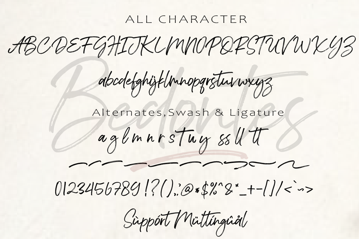 Bedontes, a Script Font by AMINMARIO (Photo 12 of 13)