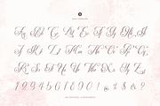 Palmeira Benvello Calligraphy, a Script Font by Denustudios (Thumbnail 10 of 12)