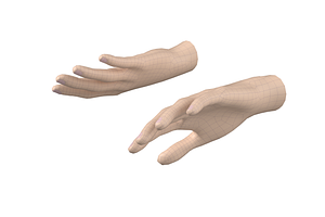 Female Hand Base Mesh 03