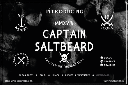 CAPTAIN SALTBEARD, a Serif Font by The Bird Life Design Co.