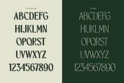 TBJ Orcherum Unique Ligatures Sans, a Font by Taboja Studio (Thumbnail 8 of 21)