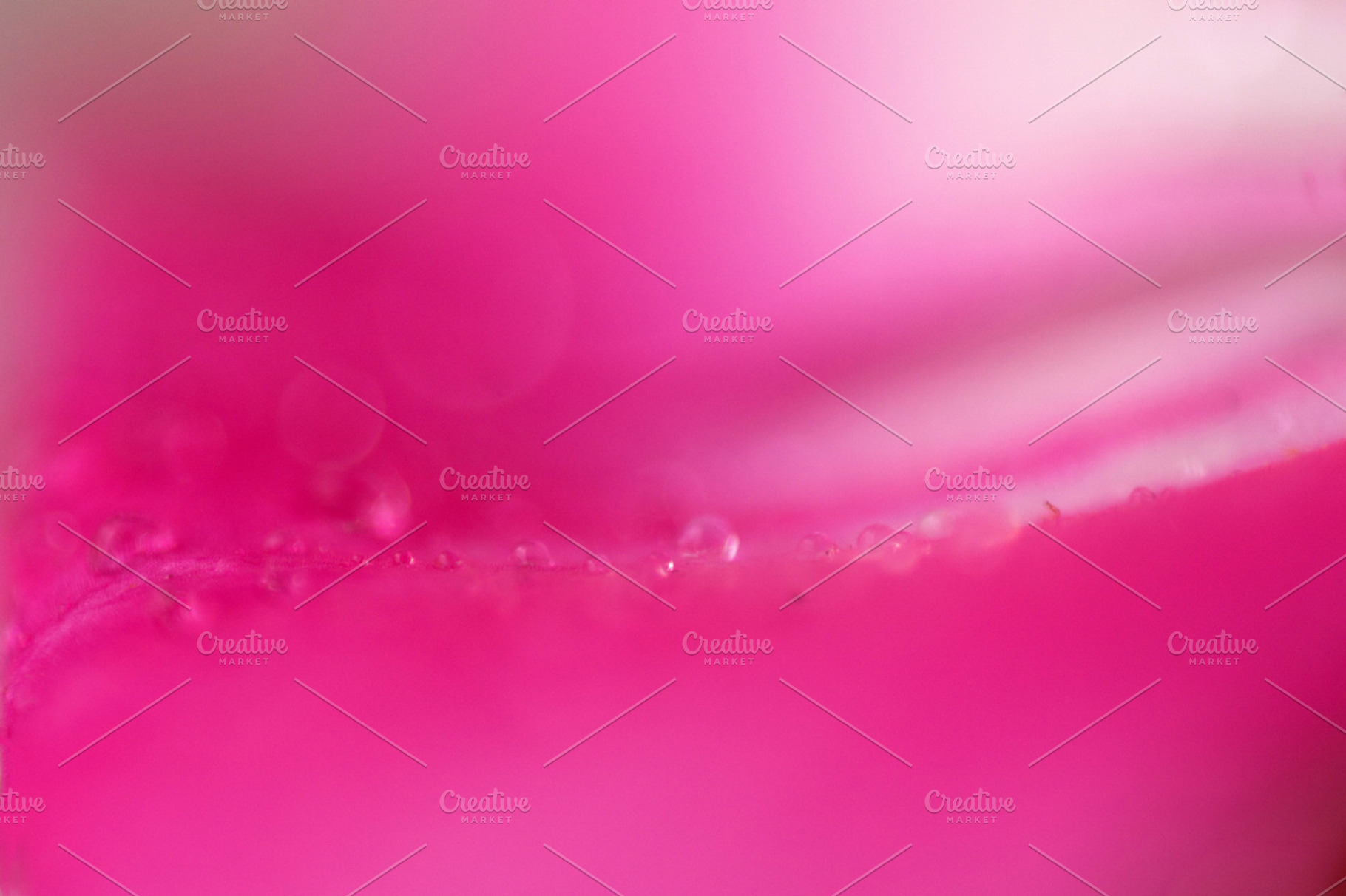 Pink flower essence 5 containing macro, detail, and flower