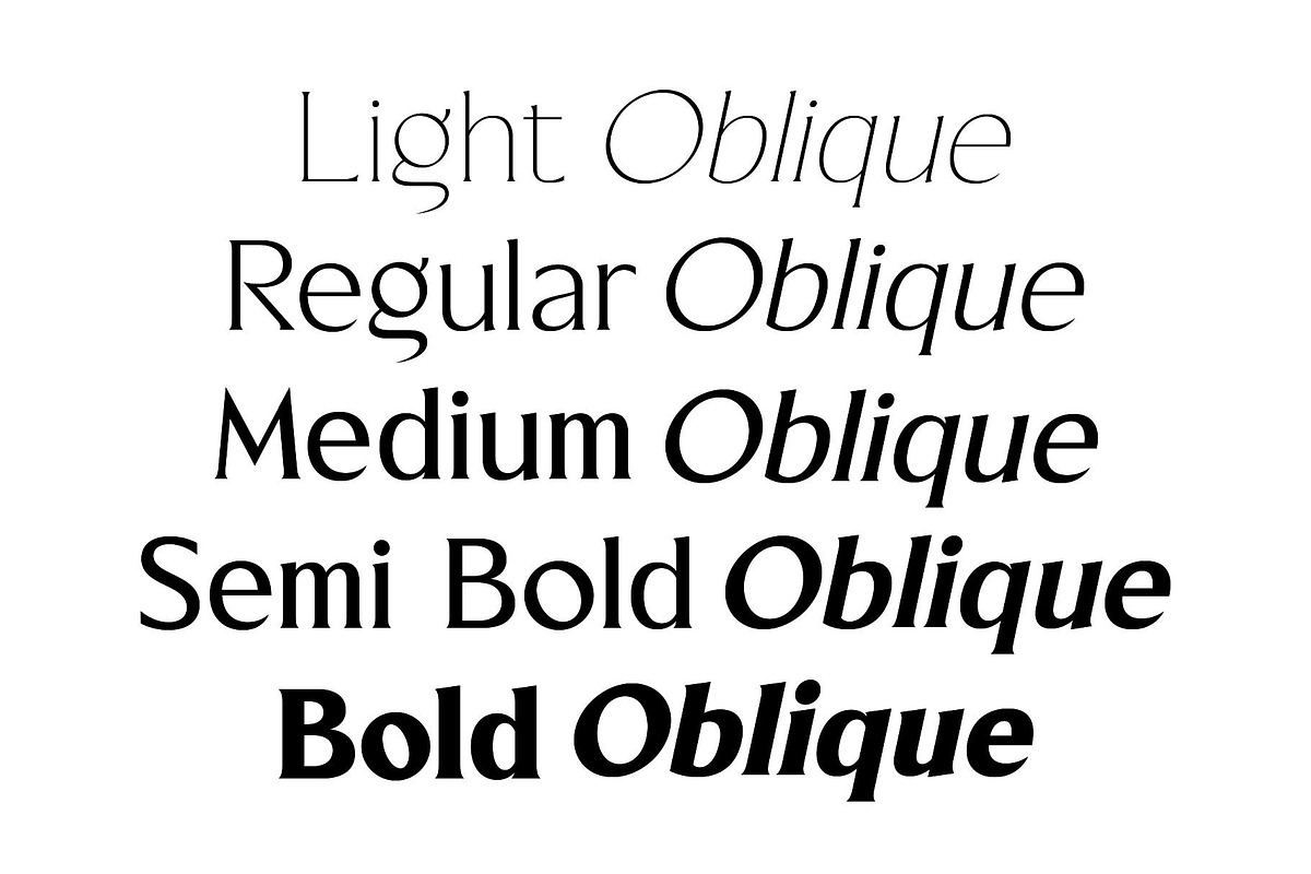 Blackney Font Family, a Serif Font by Arterfak Project (Photo 6 of 14)