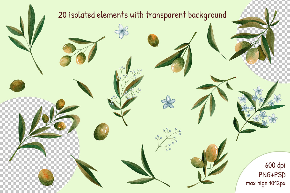 Watercolor Olives pattern collection, a Pattern Graphic by Lagniappe Art (Photo 6 of 13)