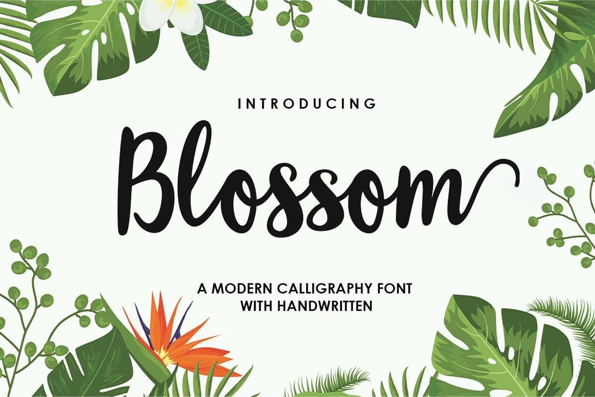 Blossom Script | Elegant Font, a Script Font by Akrinity Digital (Photo 1 of 4)