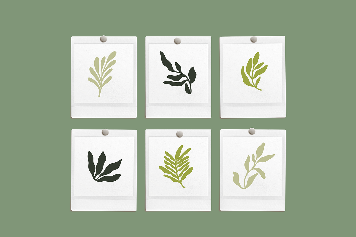 Abstract Leaf Vectors, an Object Graphic by Emma Webb Studio (Photo 2 of 6)